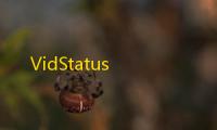 VidStatus